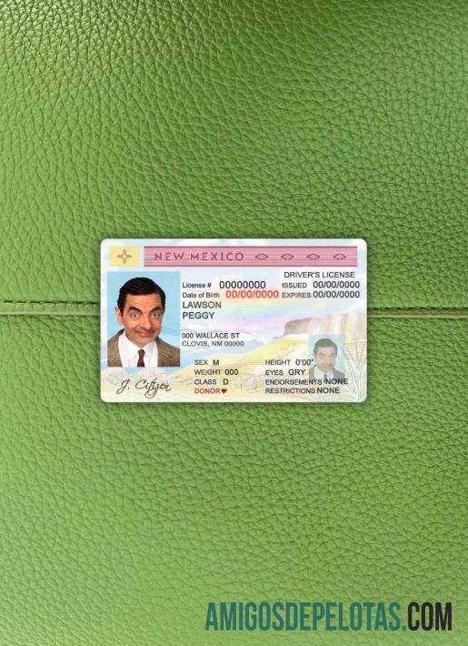 Estado dos EUA Novo México DL fotovisual frontal exemplo